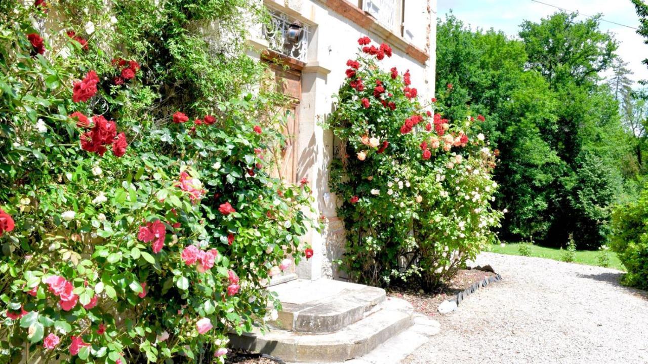 Chateau De Belespy La Bastide-de-Besplas ภายนอก รูปภาพ
